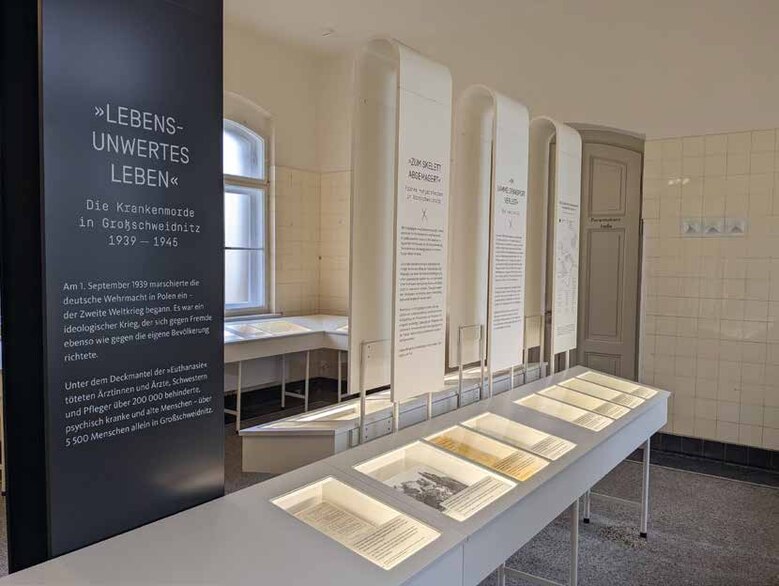 Verschiedene Informationstafeln und beleuchtete Vitrinen präsentieren historische Dokumente in einem Ausstellungsraum