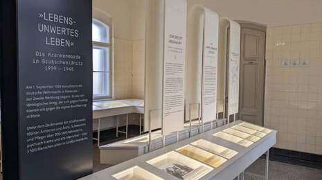 Verschiedene Informationstafeln und beleuchtete Vitrinen präsentieren historische Dokumente in einem Ausstellungsraum